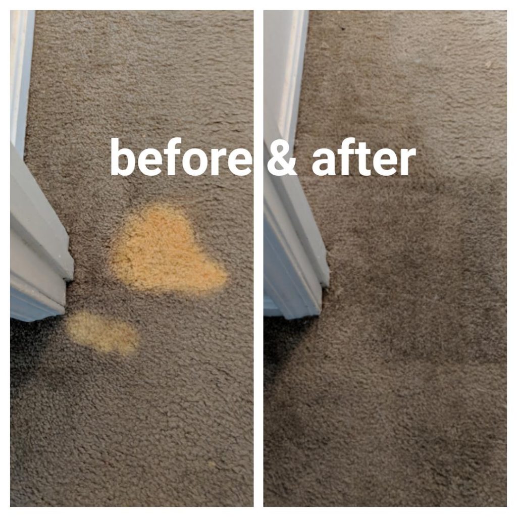 Bleach Spots (858) 8668368 Creative Carpet Repair La JollaREPAIR IT